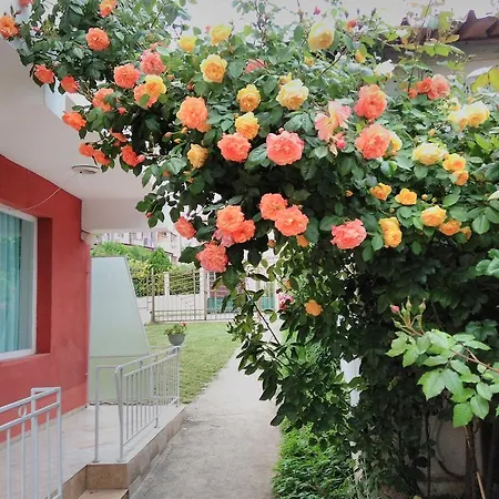 Beba Casa de hóspedes